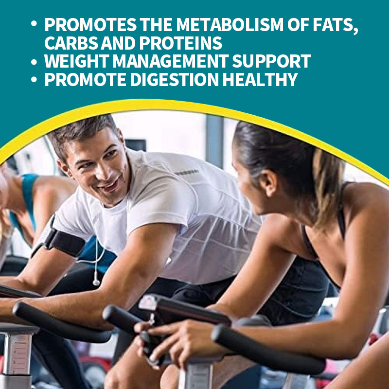 Sağlıklı Metabolizma İçin Probiyotik Kapsüller Kilo Yönetimi Bağırsak Sağlığı Takviyesi Kilo Kaybı Kapsülleri