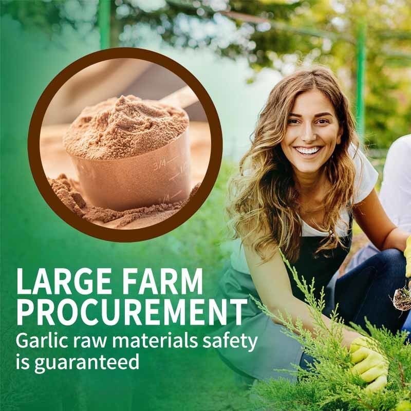 OEM Desteği Organik Kokusuz Sarımsak Ekstraktı Yetişkin Sarımsak Vegan Kapsülleri için Antioksidan