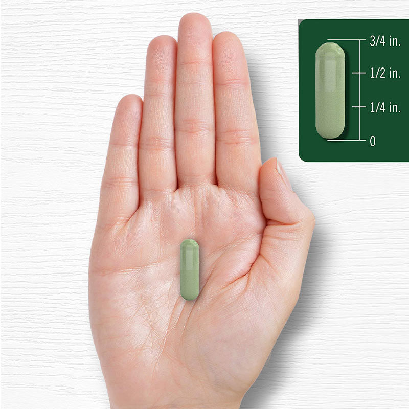 Eklem desteği için Moringa tozu kapsülleri iyi uyku için Moringa tozu takviyesi