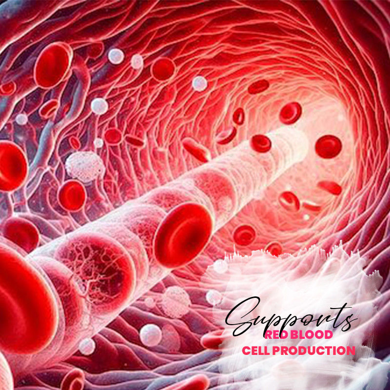 Hücresel Enerji Destek için Demir Tabletler Kırmızı Kan Hücreleri Üretimi İçin Demir Tabletler