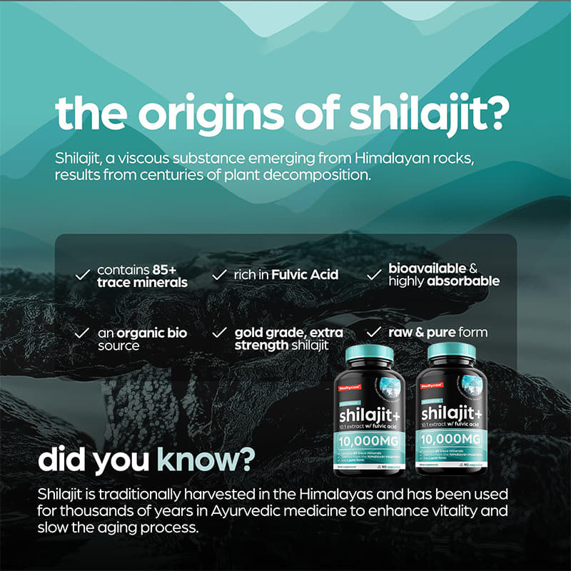 OEM Temiz Himalaya Shilajit 10000mg Organik Shilajit Kapsülleri Bağışıklık Desteği İçin