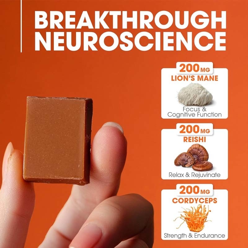 Fabrika Bitki Cordyceps Nootropik Mantar Destek Enerji Odak Beyin Sağlığı Bağışıklık Ganoderma Lucidum Mantar Yumuşak Çiğnenir