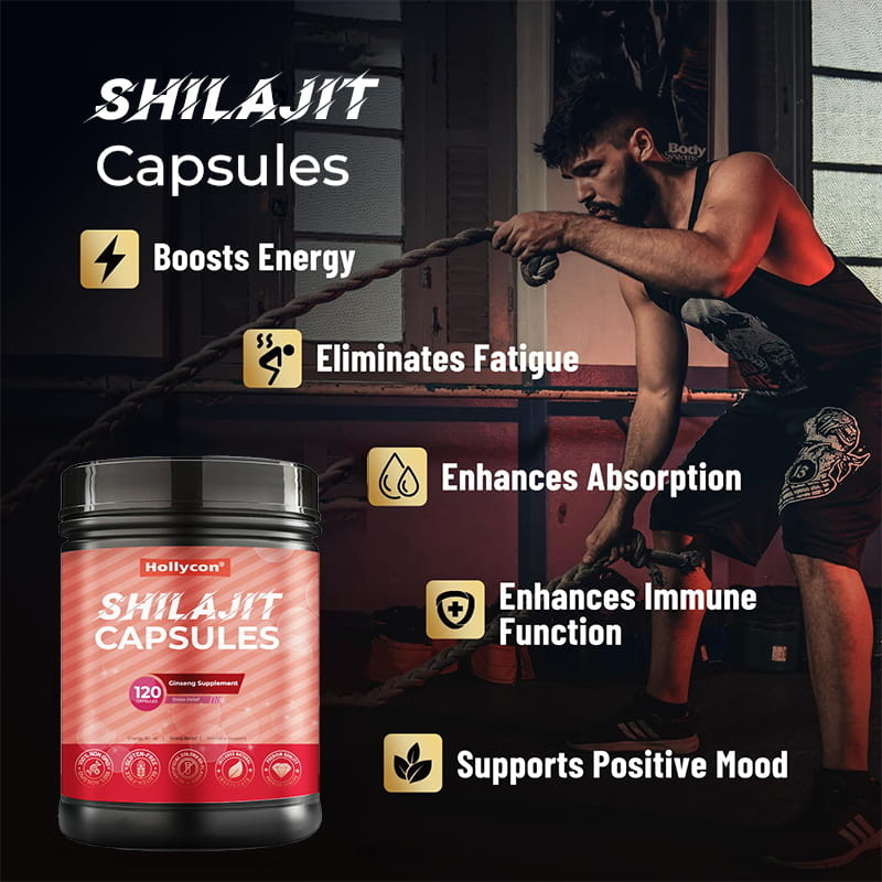Shilajit Kapsülleri Sıcak Satış Temiz Himalaya Organik Shilajit Erkekler İçin İmmün Destek Enerji Artırma
