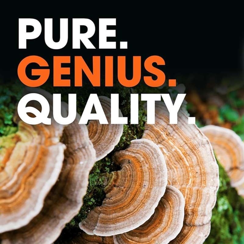 OEM Genel Sağlığı Desteklemeyi Teşvik Etmek Vücudun Doğal Savunma Mekanizmleri Oksidatif Sorunlarla Mücadele Türkiye Kuyruk Kapsülleri