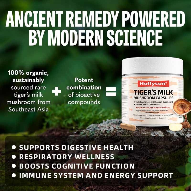 Mantar Takviyesi Saç Büyümesi Bağırsak Sindirim Beyin Akciğer Sağlığı Bilişsel Odaklama Solunum Kapsulalar Kapsullar Kapsullar