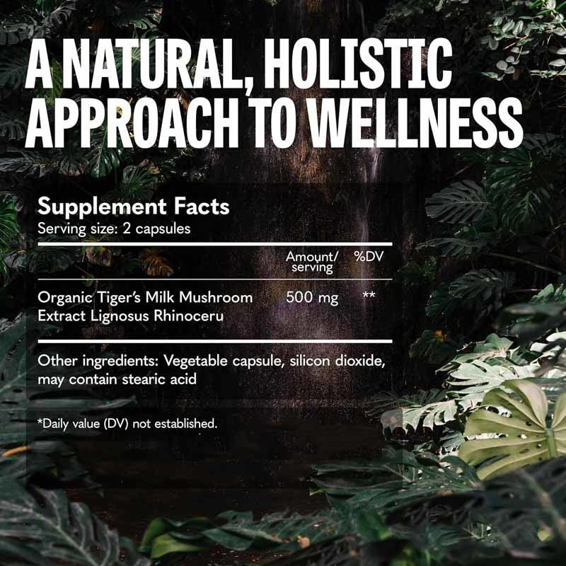 Mantar Takviyesi Saç Büyümesi Bağırsak Sindirim Beyin Akciğer Sağlığı Bilişsel Odaklama Solunum Kapsulalar Kapsullar Kapsullar