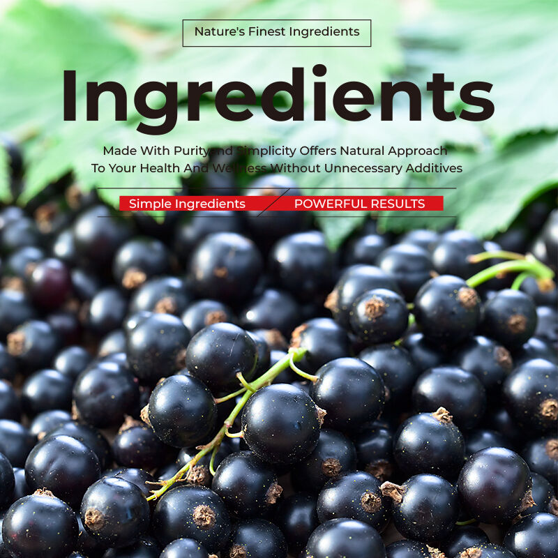 ODM OEM Özel Deniz yosunu Sakızlı Şekerleme Elderberry Şekerleme Vitamin C D + Çinko Sakızlı Şekerleme Deniz yosunu Burdock Kökü Vejetaryen Sakızlı