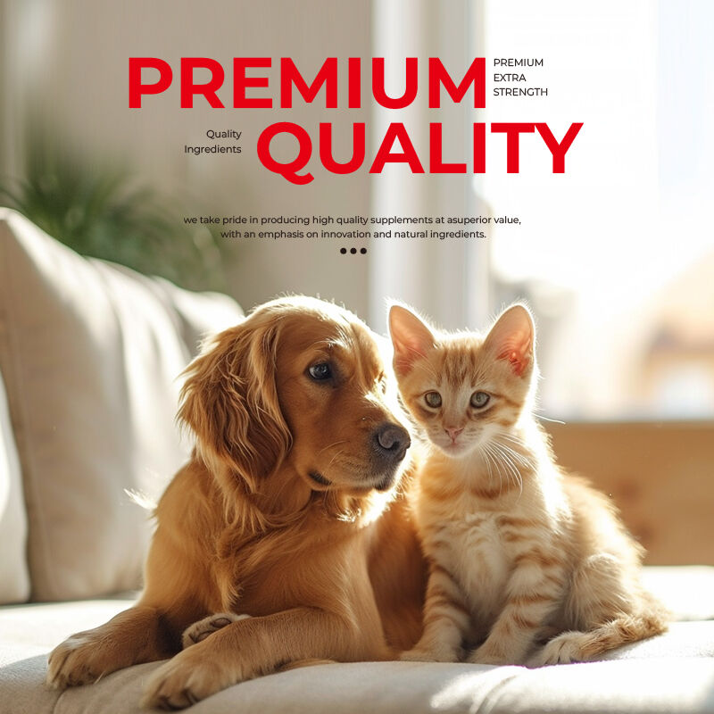 OEM Bağırsak Sağlığını Geliştirin Sindirim Köpek Vitaminleri ve Takviyeleri Kediler ve Köpekler İçin Sağlık Takviyesi Evcil hayvanlar için probiyotik kapsüller
