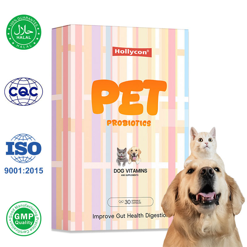 OEM Bağırsak Sağlığını Geliştirin Sindirim Köpek Vitaminleri ve Takviyeleri Kediler ve Köpekler İçin Sağlık Takviyesi Evcil hayvanlar için probiyotik kapsüller