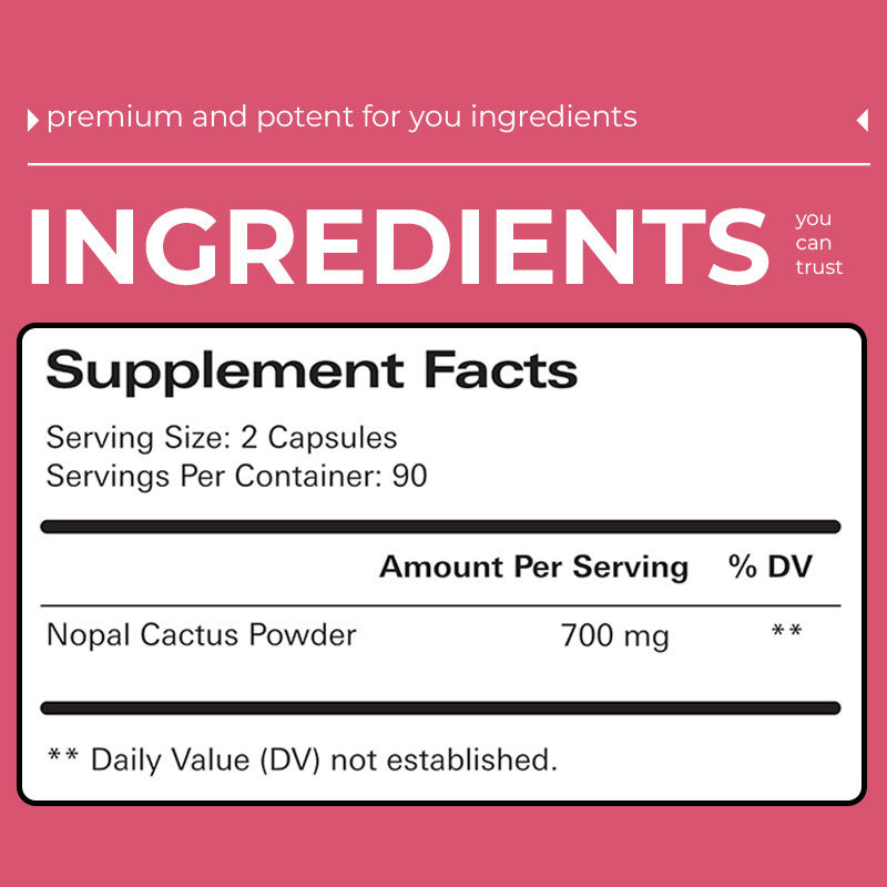 Natural Plant Origin Nopal Cactus Extract Capsules with Abundant Active Compounds and Custom Production Support