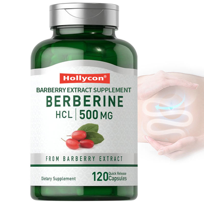 FDA Berberine Kapsül 500mg Kızamık Özü Kardiyovasküler Bitkisel Takviye Berberine HCL