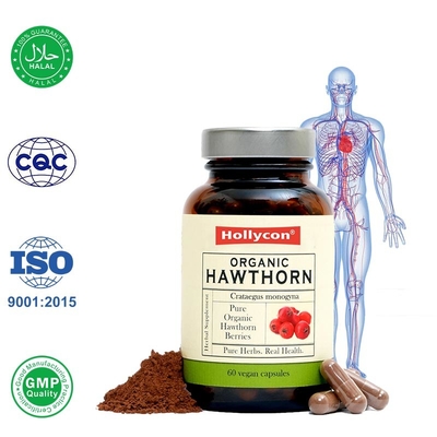 Organik Hawthorn Berry Kapsülleri Dolaşımı Artırır Kalp Sağlığı