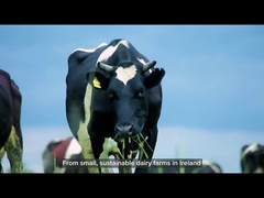 Peynir altı suyu proteini