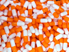 Hollycon Kapsülleri