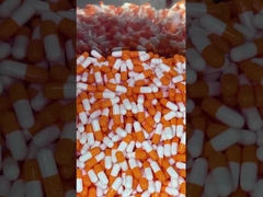 Mantar Süper Yiyecek Günlük Boost Kapsülleri